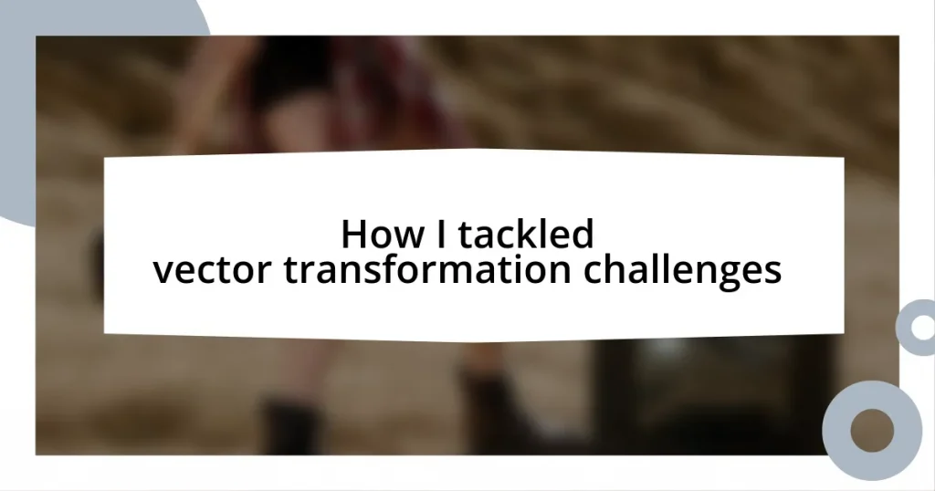 How I tackled vector transformation challenges