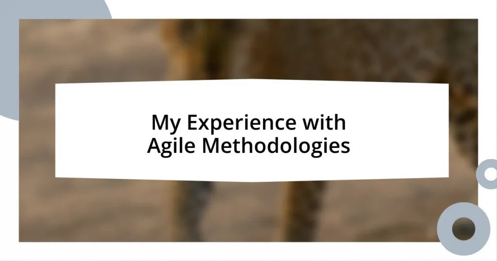 My Experience with Agile Methodologies