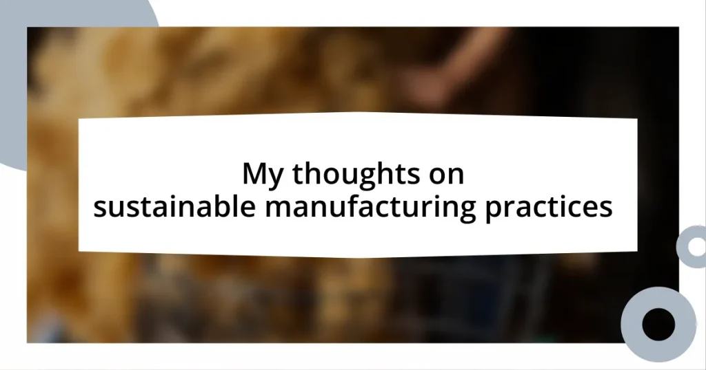 My thoughts on sustainable manufacturing practices