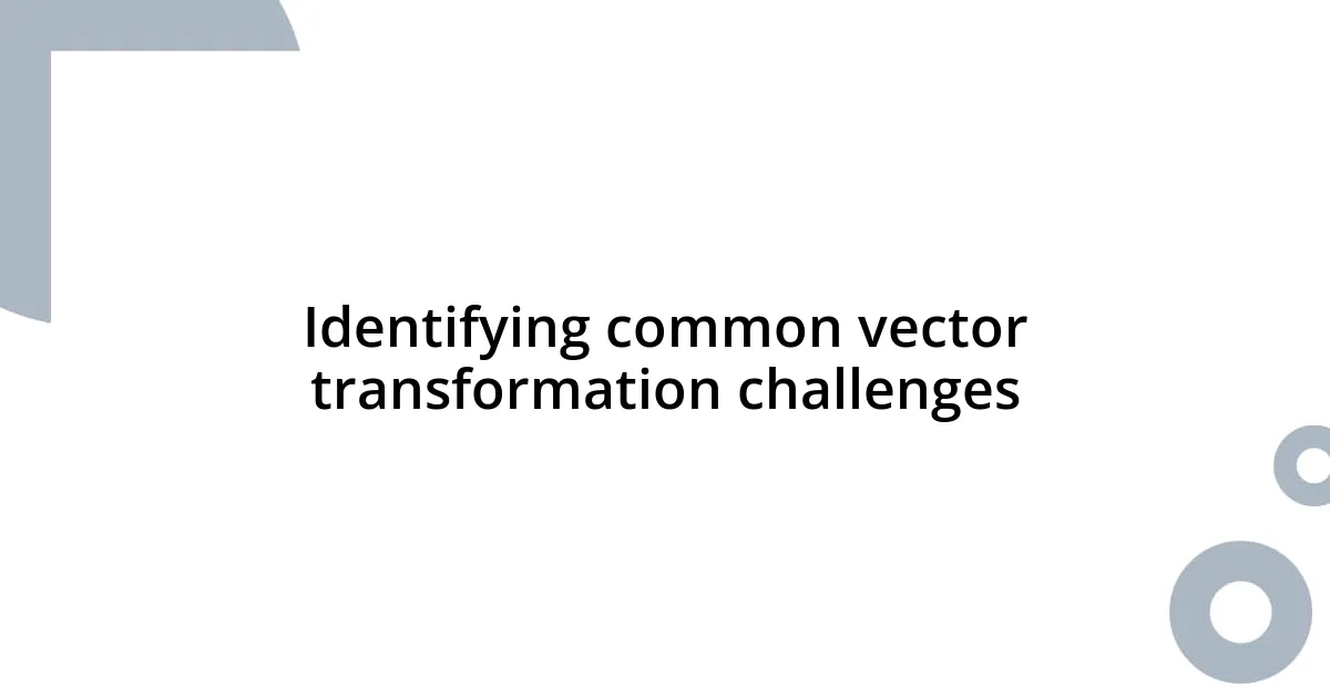 Identifying common vector transformation challenges