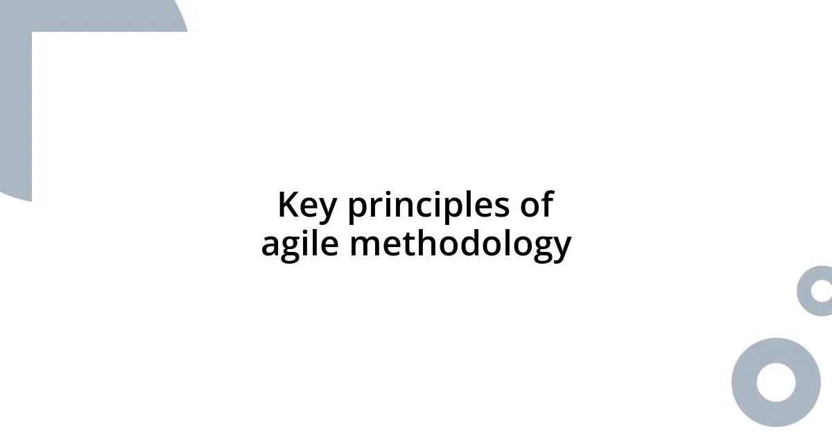 Key principles of agile methodology